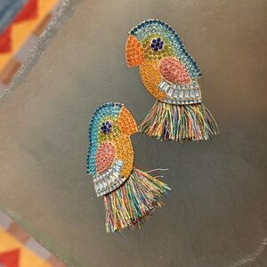 Colorful Parrot Earrings